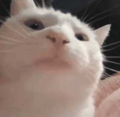 тебя никогда здесь не было (you were never really here), 2017. коллективные действия лозунг 1977. наклейка порядка нет и никогда не будет. где ты тут. порядка нет и никогда не будет.